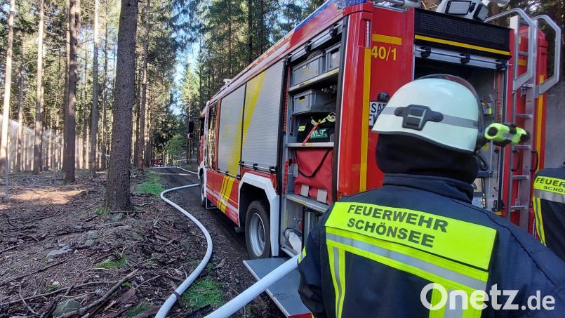 Über 60 Feuerwehrkräfte beteiligten sich an einer Großübung im Bereich des Drechselberges. Bild: Feuerwehr Schönsee/exb