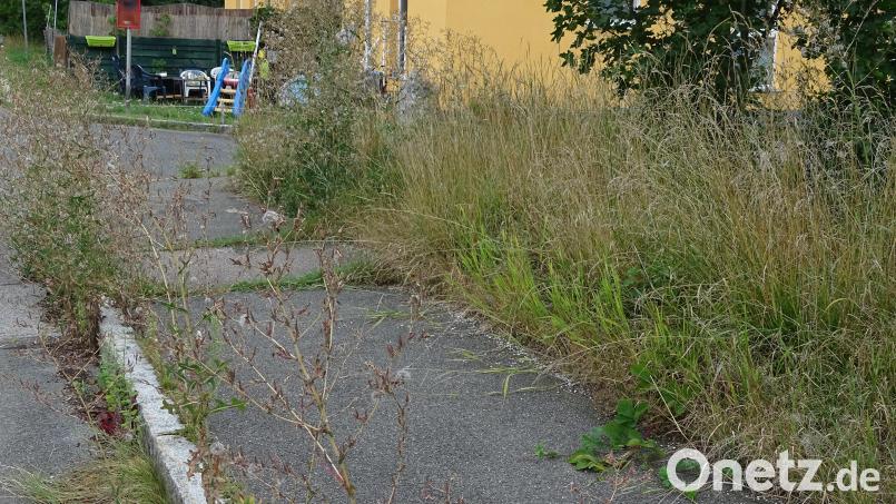 Ein Dauerzustand vor dem Freihölser Bahnhof: Das Unkraut wuchert und keiner kommt, um es zu entfernen. &quot;Könnte man der Deutschen Bahn nicht mal ein Bußgeld auferlegen?&quot;, wurde jetzt unter den Teilnehmern einer Bürgerversammlung diskutiert. Archivbild: Houschka