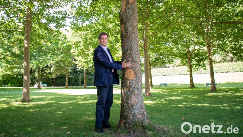 Markus Söder (CSU), Ministerpräsident von Bayern, steht neben einem Baum im Hofgarten hinter der bayerischen Staatskanzlei. Archivbild: Peter Kneffel