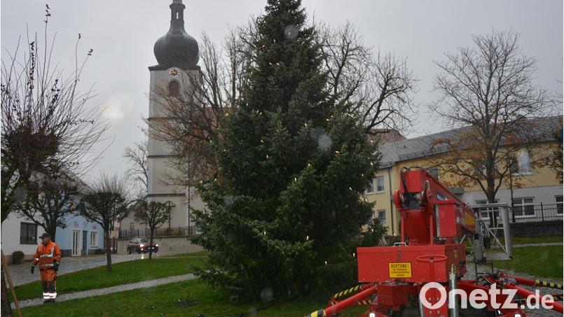 Am Donnerstag haben Mitarbeiter des gemeindlichen Bauhofs am Therese-Neumann-Platz in Konnersreuth einen Christbaum aufgestellt. Bild: jr