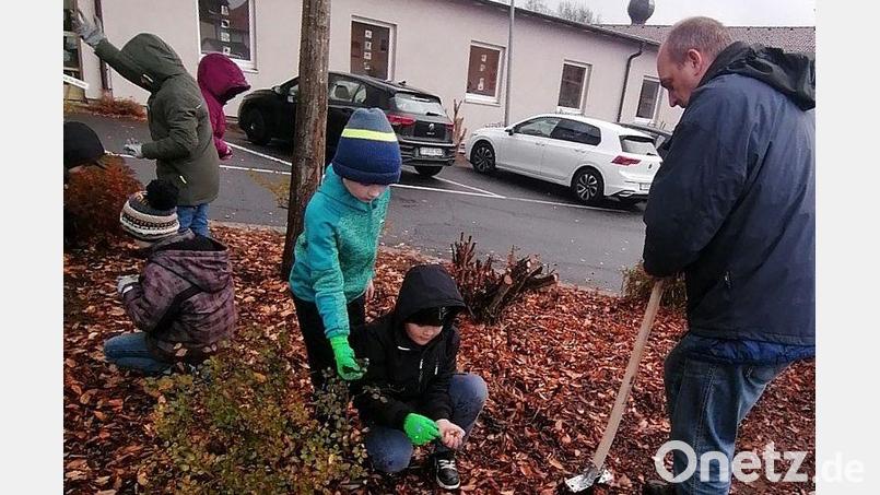 Die Grundschüler pflanzten 1000 Krokuszwiebeln. Bild: Grundschule Krummennaab/exb