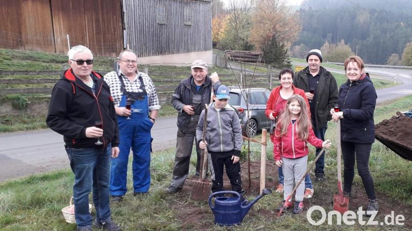 Die gespendeten Zwetschgenbäume wurden in den Ortschaften Schwarzberg, Kötschdorf und Woppenhof gepflanzt. Bild: OGV Glaubendorf-Woppenhof /exb