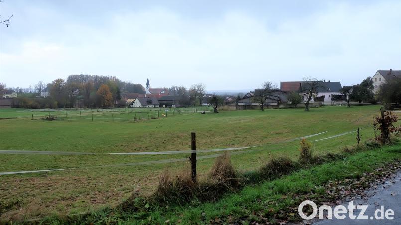 Auf dieser Wiese sollen in Etzenricht fünf bis sechs Bauplätze im Gebiet "Aign" entstehen. Bild: wlr