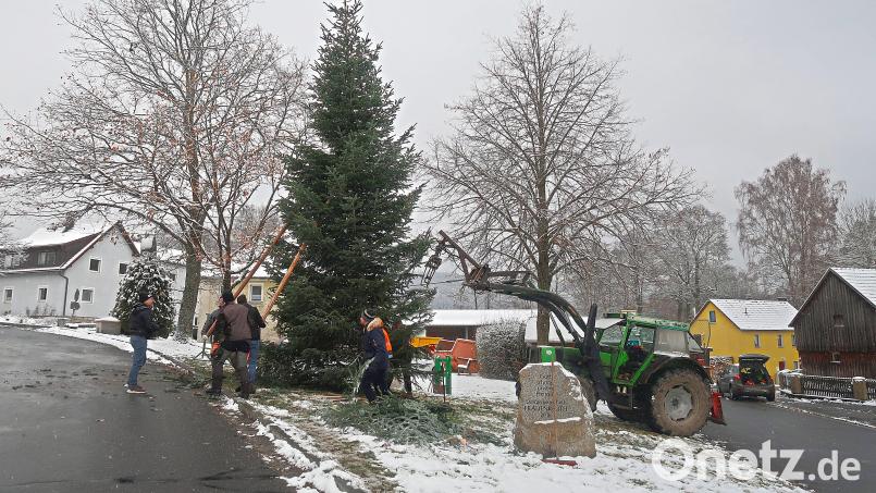 Den Christbaum in Frauenreuth haben Mitglieder des Schützenvereins Frauenreuth bereits am Wochenende auf dem Dorfanger (Bild) errichtet. Am kommenden Samstag können von Besuchern zugunsten einer Spendenaktion Christbaumkugeln angebracht werden. Bild: bsc