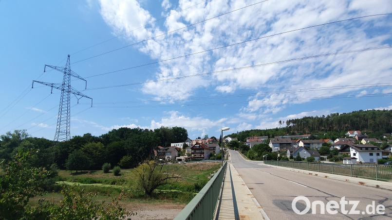 Der Neubau der Hochspannungsleitung Ostbayernring rückt weiter vom Ettmannsdorfer Berg (im Hintergrund) weg - allerdings dafür näher an die Ostseite des Schwandorfer Stadtteils. Bild: Hösamer