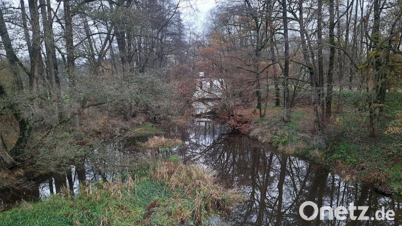 Angesprochen wurde in der Bürgerversammlung in Oberwildenau auch die Umgebung der Stau- und Triebswerksanlage Unterwildenau. Kritisiert wurde, dass die Waldnaab dort sehr verwachsen sei. Bild: bey