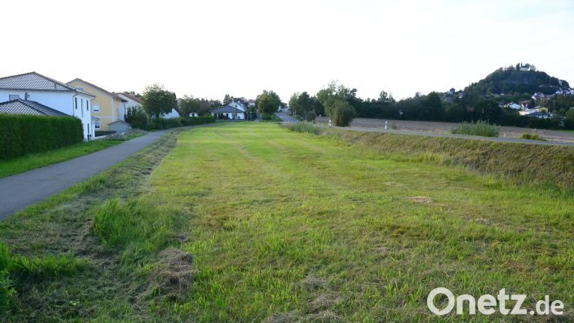 Der Verkauf der sechs Baugrundstücke im Baugebiet "Weidener Straße-Grün" wurde auf den Weg gebracht. Sechs Bauwerber wurden nach den Vergaberichtlinien ausgewählt. Bild: bey