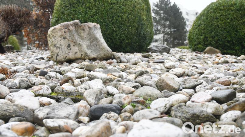 In der jüngsten Sitzung des Gemeinderats in Püchersreuth wurde auch über Steingärten gesprochen. Dem Bürgermeister bereiteten diese Gärten durchaus Sorgen. Symbolbild: Gabi Schönberger