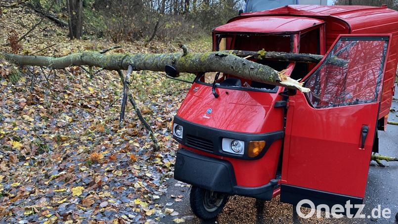 Bei Seußen (Stadt Arzberg) krachte ein Baum auf ein Lastendreirad. Bild: Polizeiinspektion Marktredwitz/exb