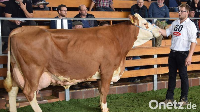 Florian Pirner aus Pürschläg (Gde. Illschwang) erreichte mit seiner Manigo-Tochter „Bacardi“ einen 1c-Preis. Bild: Traxinger/exb
