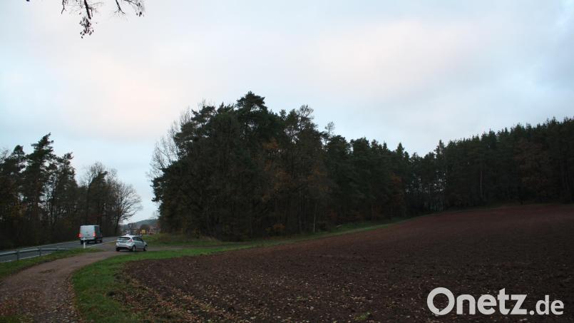 Die heute bewaldete &quot;Bühläcker&quot;-Fläche (Bildmitte) bei Döllnitz war einstmals Acker und soll es in ökologisch durchdachter Form wieder werden. Ein Artenschutzgutachten könnte das Vorhaben durchkreuzen. Bild: bjp