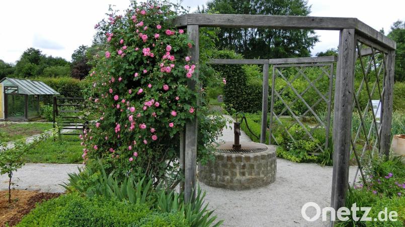 Der Kreislehrgarten Mitterteich ist eine öffentlich zugängliche Anlage und soll es auch bleiben. Archivbild: Landratsamt Tirschenreuth/exb