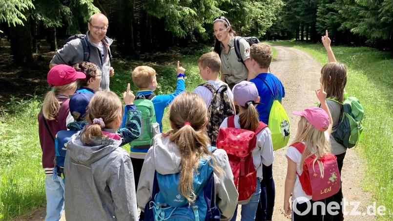 Die Pfingstwanderung mit zwei Naturparkrangern war ein Höhepunkt des Jahresprogramms der Jugendbeauftragten für die Kinder und Jugendlichen in der Großgemeinde Vohenstrauß. Bild: Hannes Gilch/exb