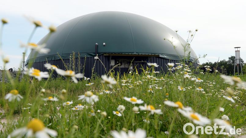 Biogasanlagen sind eine wichtige Wirtschaftskraft in der Region. Betreiber fordern im Gespräch mit Bundestagsabgeordnetem Albert Rupprecht verlässliche Rahmenbedingungen. Symbolbild: Maurizio Gambarini/dpa