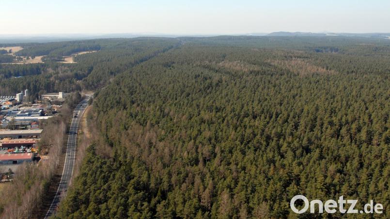 Der Nutzwald im Weidener Westen rückt erneut in den Fokus. Kommt das Gewerbegebiet West IV nun doch? Archivbild: Gustl Beer