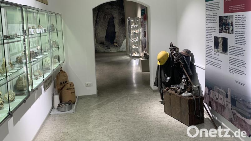 Das Pleysteiner Stadtmuseum, hier die Ansicht der neuen Vitrinen für "Die Welt schaut nach Hagendorf", möchte vor allem für die Jugend und die Kinder eine Mikroskop-Forscher-Station einrichten. Bild: bey