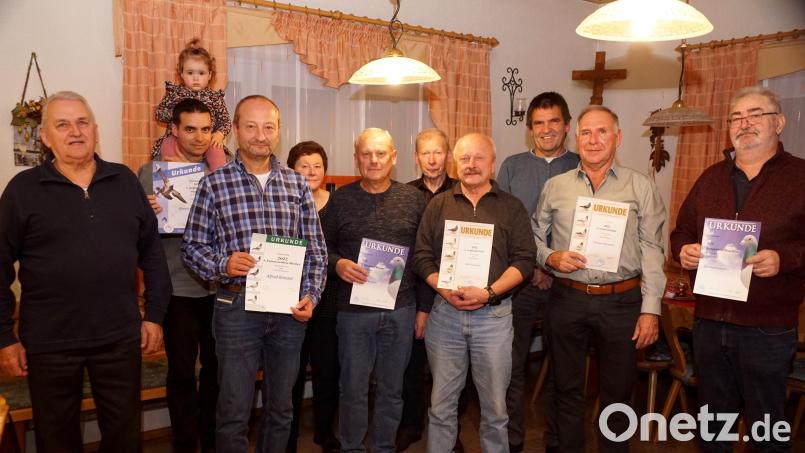 Raubvögel machen es den Taubenzüchtern in diesem Jahr besonders schwer, wie am Ehrungsabend zu erfahren war. Die erfolgreichsten Züchter waren diesmal (von links) Erwin Scherm, Alberto Cotayo mit Töchterchen Viviana, Alfred Kreuzer, Margit Bayerl, Norbert und Richard Prechtl, Hans Kreuzer, Bernhard Pocker, Gerhard Brunner sowie Bernhard Schultes. Bild: bkr