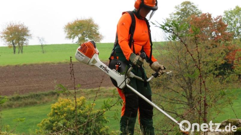 Der Umgang mit Geräten wie Freischneider und Hochentastern wie hier am Druidenstein ist fester Bestandteil der Ausbildung bei den angehenden Landwirten und Forstwirten der Berufsschule in Neunburg vorm Wald. Bild: Armin Wild/exb