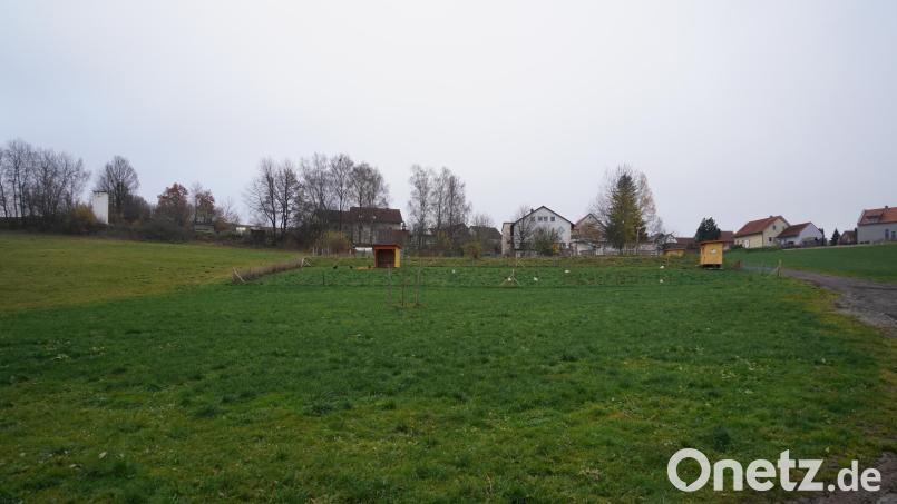 Das Areal für die geplante Bikesportanlage in Waldthurn befindet sich unterhalb des Rehazentrums Oberpfalz. Bild: fvo