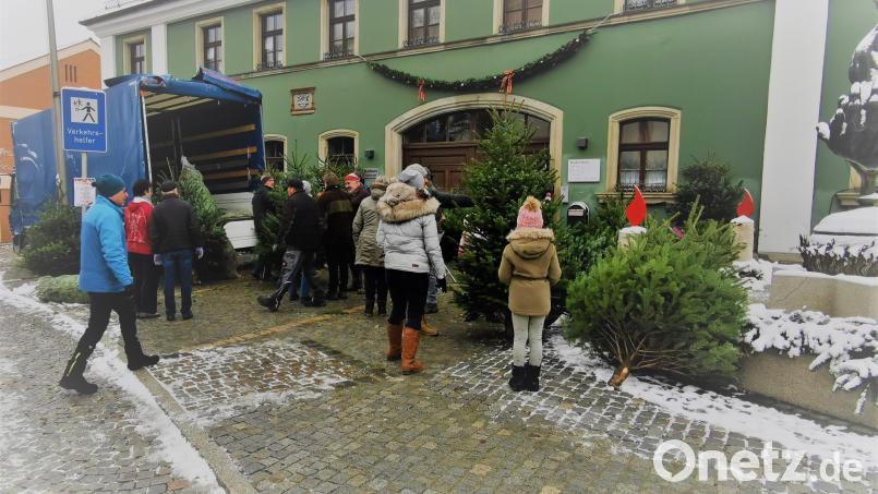 Die Mitglieder des Fischereivereins waren über das enorme Interesse beim Christbaum-Verkauf erfreut. Bild: gz