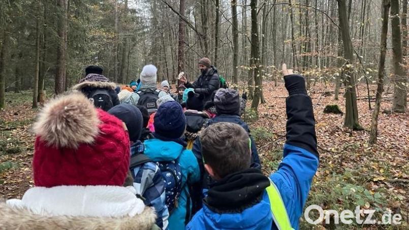 Die Schülerinnen und Schüler der dritten Klassen der Grundschule Krummennaab waren im Wald unterwegs. Bild: Grundschule Krummennaab/exb