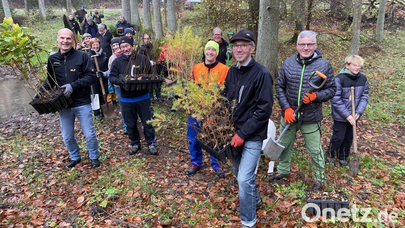 Lions-Mitglieder und deren Familien haben in Sulzbach-Rosenberg 500 Bäume gepflanzt. Bild: ero