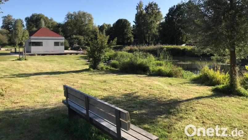Ein Bild der Vilsaue aus früheren Tagen zeigt die gemähten Uferstreifen. Menschen und Natur sollen künftig in der Vilsaue zu ihrem Recht kommen. Bild: e