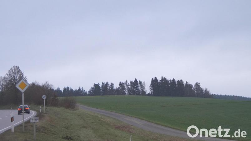 Rechts neben der B 22, bei der Einmündung nach Niedermurach, soll der Solarpark Teunz entlang des Areals mit den Bäumen errichtet werden Bild: wel