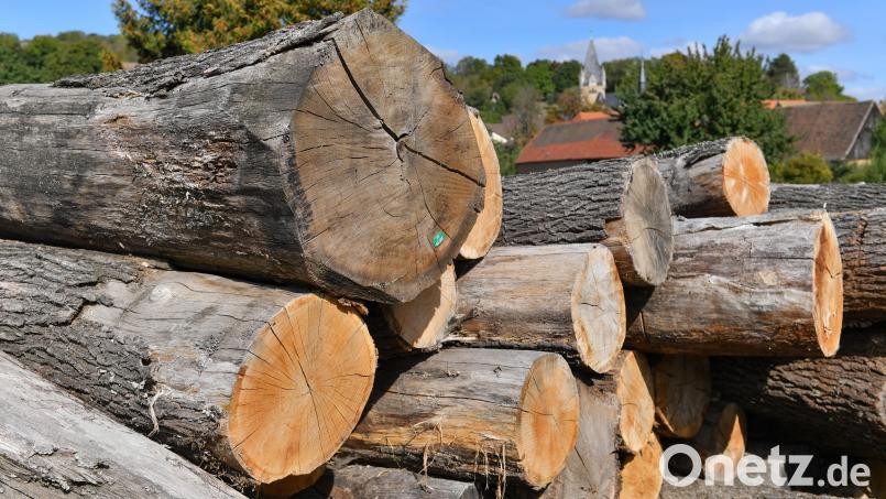 Ein Unbekannter zersägte hinter einer Garage in Altenstadt an der Waldnaab mehrere Eichenstämme und entwendete das Holz. Symbolbild: Hendrik Schmidt/dpa