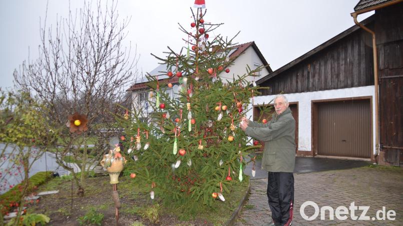 Karl Philipp behängt seinen Vogelchristbaum mit Leckereien für die kleinen Garten- und Waldbewohner Bild: ak