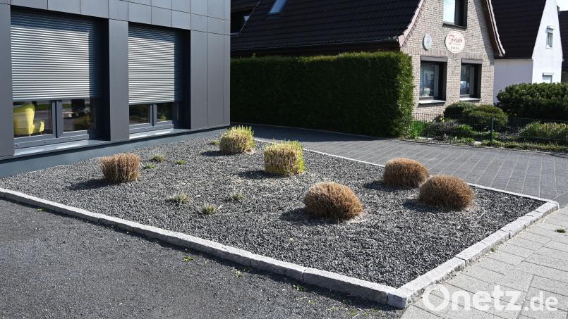 Karge Büschel zwischen grauen Kieselsteinen: Stein-Vorgärten bieten keinen Lebensraum für Tiere, Wasser kann schlecht abfließen. Auch in Sulzbach-Rosenberg gibt es diese Art der Gartengestaltung immer mehr – um niemanden an den Pranger zu stellen, wurde hier zur Illustration ein anonymes Symbolbild verwendet. Bild: Carmen Jaspersen/dpa