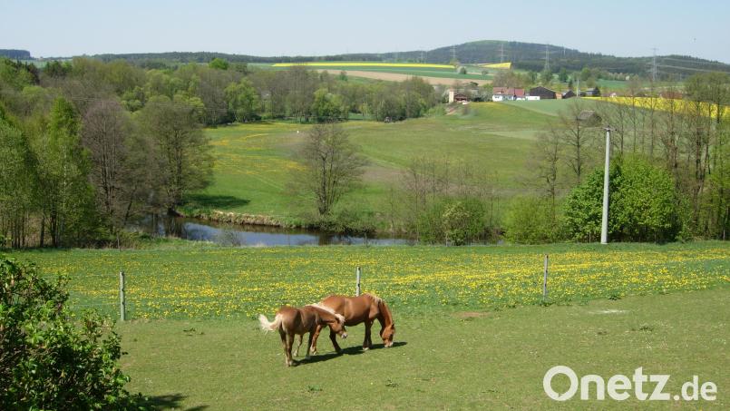 Mit Bildern aus vier Jahreszeiten macht ein neues Heimatbuch über das Pfreimdtal (hier bei Gröbenstädt) sogar schon Lust auf den nächsten Frühling. Bild: fjo