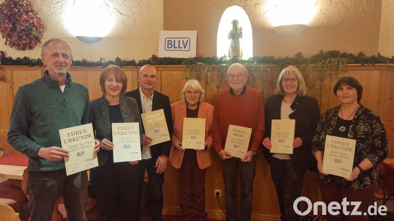 Sieben verdiente Mitglieder zeichnete der BLLV-Kreisverband Eschenbach aus. Von links: Wolfgang Veigl-Meyer (30 Jahre), Ruth Seitz (45 Jahre),Uwe Prösl (30 Jahre), Christl und Georg Nußstein (60 Jahre), Rosemarie Schrott (60 Jahre), Yvonne Walter (30 Jahre). Bild: nn