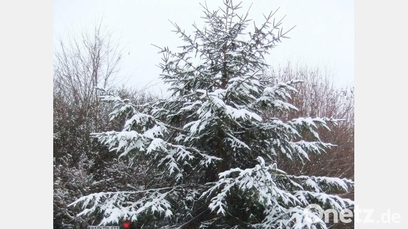 Der Christbaum am &quot;Marktplatz&quot; von Breitenbrunn, dem kleinen Nachbarort Pittersbergs. Er ist sowohl Symbol für die lustigen Christbaumversteigerungen hierzulande als auch für den guten Zusammenhalt des kleinen Ortes. Der aktuelle Schnee sowie Christbaumkugeln schmücken ihn. Bild: gm
