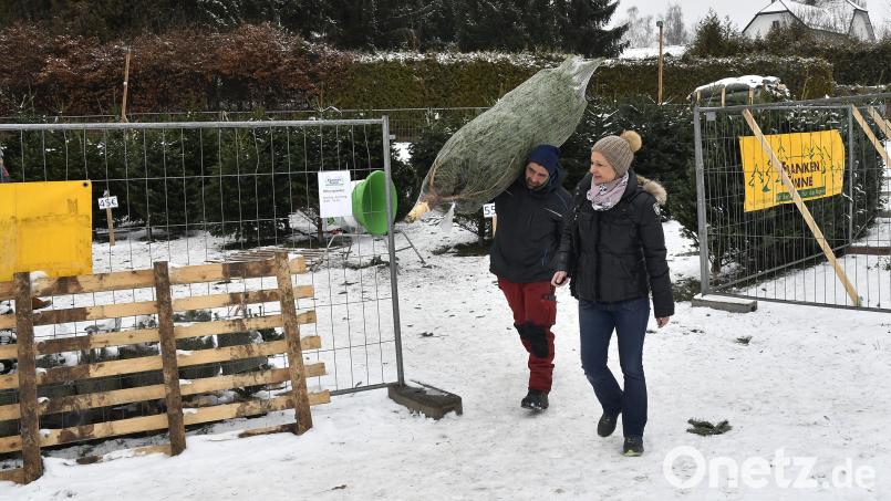 Für Jenny Mai war die Suche erfolgreich: Verkäufer Andreas Lippert schultert die 2-Meter-Nordmanntanne für 35 Euro und trägt sie zum Auto seiner zufriedenen Kundin. Bild: Petra Hartl