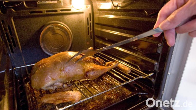 Die Gans ist das traditionelle Weihnachtsessen. Hoffentlich bleibt da in der Küche der Strom nicht aus. Das Bayernwerk jedenfalls ist auf den hohen Verbrauch, besonders am ersten Feiertag, vorbereitet. Archivbild: Peter Steffen/dpa