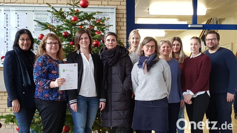 Die beteiligten Lehrkräfte der Naabtal-Realschule freuten sich über die erneute Auszeichnung. Bild: Elisabeth Schneider/exb