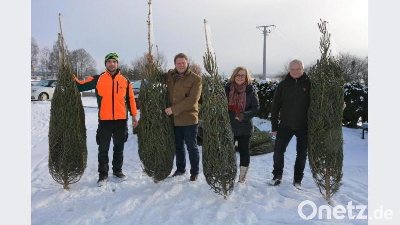 Forstwirtschaftsmeister Louis Lang (links) und Forstbetriebsleiter Norbert Zintl (rechts) übergaben die Christbäume. Bild: jr