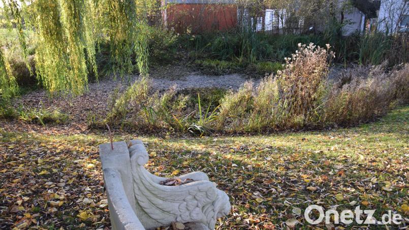 Der Dorfweiher in Pittersberg wird neu gestaltet. Darauf einigt sich der Gemeinderat Ebermannsdorf. Bild: bö