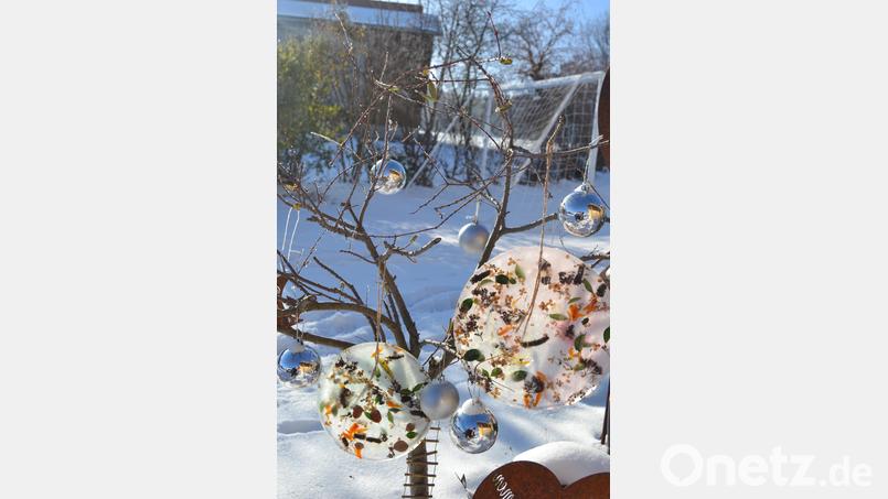 Frohe Weihnacht wünschen die Haselbrunner mit diesem Motiv Bild: do