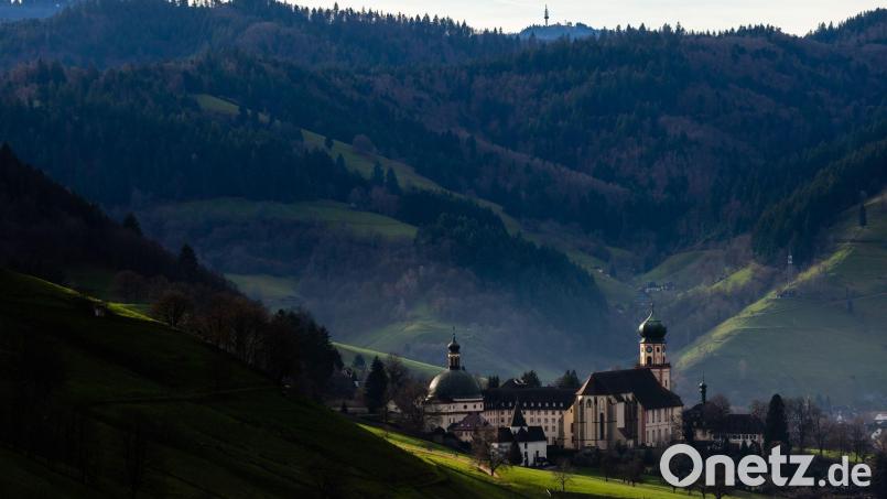 Weiße - nein, grüne Weihnachten liegen hinter uns. Es wird auch erst einmal nicht kälter. Symbolbild: Philipp von Ditfurth/dpa