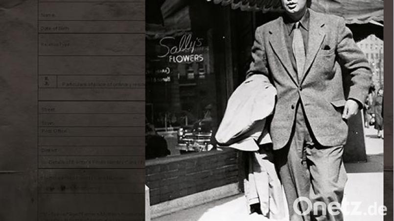 Neil Young &amp; Crazy Horse - World Record (Reprise) Bild: Reprise