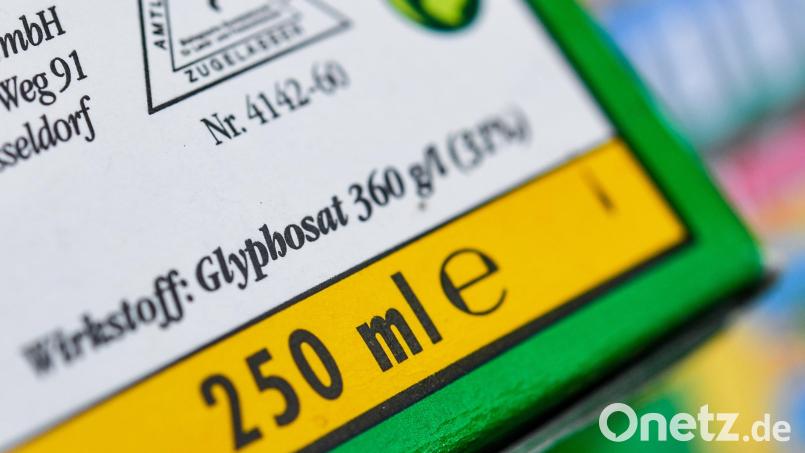 Durch den Einsatz von Glyphosat ist in Tirschenreuth ein großer Lindenbaum vergiftet worden. Symbolbild: Patrick Pleul