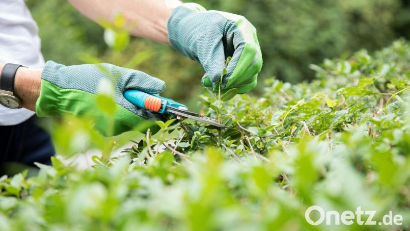 Symbolbild: Christin Klose/dpa