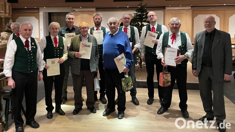 Ehrungen beim Männergesangsverein Högen (von links): Vorsitzender Hans Werner Haas, Richard Herrmann, Erwin Greissinger, Leonhard Pirner, Hans Jürgen Pickel, Georg Übler, Johann Lippert, Jörg Hermann, Gerhard Windisch und Olaf Kohlisch, der zweite Vorsitzende des Sängerkreises Hersbruck. Bild: sgö
