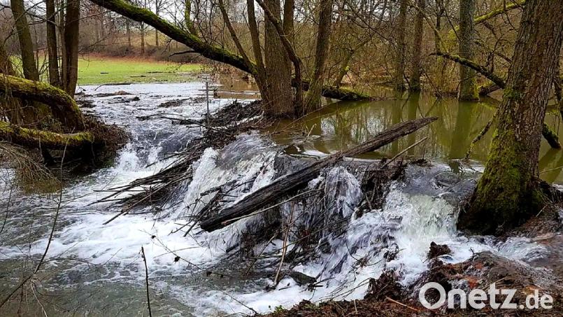 Der Rötzerbach im Bereich der ehemaligen Dorfmühle im Februar 2021. Bild: Mardanow