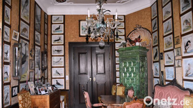 Das Vogelbilderzimmer im Schloss von Reuth bei Erbendorf ist ein Prachtraum. Die seltenen und außergewöhnlichen Kunstwerke an den Wänden regen zum Schauen an und lassen staunen. Bild: ubb