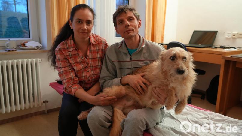 Marina Alekseeva, ihr Mann und Hund Alisa sind in ihrem Zimmer in Fockenfeld. Die Familie floh aus Charkiw vor dem Krieg in der Ukraine. Nicht auf dem Bild ist ihre 20-jährige Tochter Diana. Bild: Meier, Marco