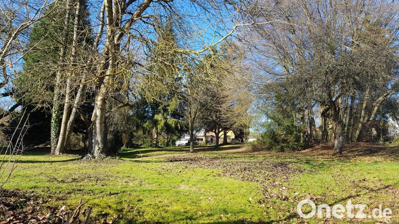 Im Bereich der Badgaßgärten in Erbendorf sollen vier Baugrundstücke entstehen. Bild: Benkhardt