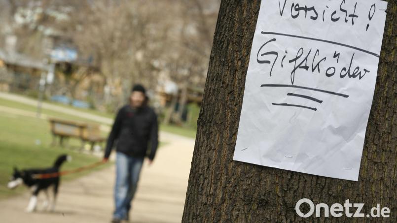 Aufmerksame Passanten haben Giftköder entlang eines Fahrradweges im Sengenthal gefunden. Symbolbild: Florian Schuh/dpa
